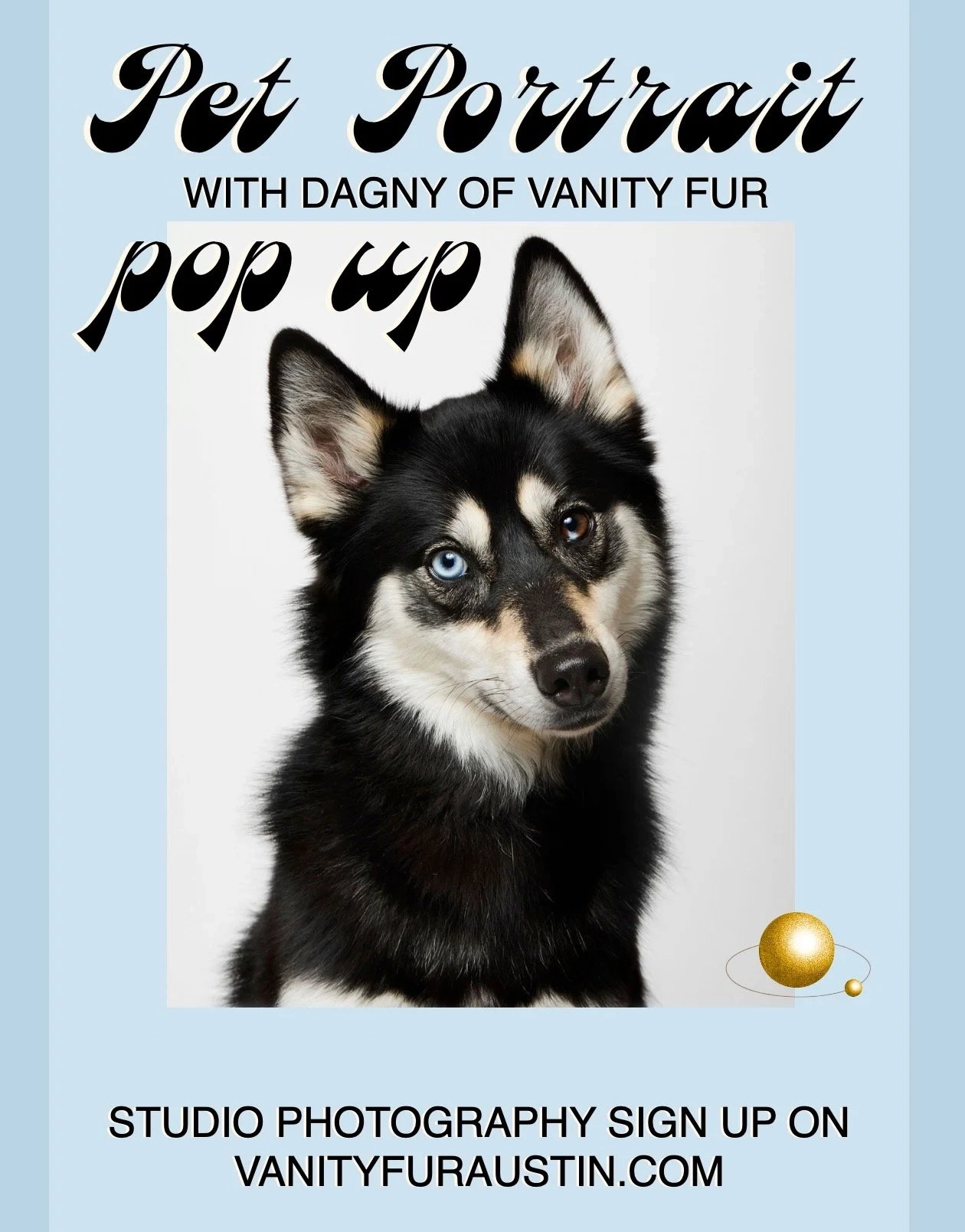 Pet Portraits at Golden Mean Jan 2025